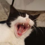 Что-то нормальное