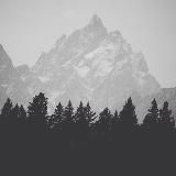 HISTORY•ИСТОРИЯ