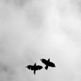 𝐈𝐅𝐅𝐀𝐓𝐄𝐌 | 𝐼𝑓𝑓𝑎𝑡 𝑘𝑎𝑛𝑎𝑙𝑖