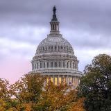 ɢᴇɴɪᴇ'ꜱ ꜱᴜʙᴡᴀʏ 🧞♀️