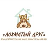БФ "Лохматый друг" чат