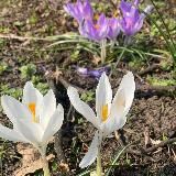 Українці в Швеції 🇺🇦