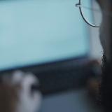 авокадо, код и книги