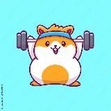 Худею за 365 дней