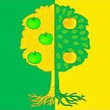 Администрация Мичуринского сельского поселения