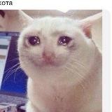 тупеем вместе