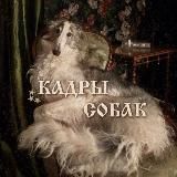 🐶🕰️Кадры Собак🕰️🐶
