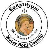 Sodalitium.it