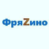 Глава г.о. Фрязино Дмитрий Воробьев