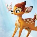 🩷 Bambi 🩷(детская одежда)