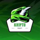 Kripto Kaşifi