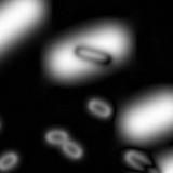 Фестиваль невидимого кино