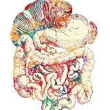 Пищеварительная система👅