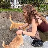 ⋆ ࣪. ੭ 🪵дᴇᴩᴇʙᴇнᴄᴋий ᴨᴏдʙᴀᴧ𖧷 。🌳. ꒰