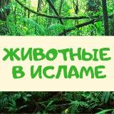 "ВСЕ О ЖИВОТНЫХ"