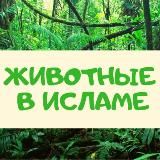 "ВСЕ О ЖИВОТНЫХ"