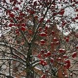 Кузнецовъ: Потокъ мыслей