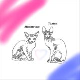 Чат 🫀𝘛𝘰𝘮𝘢𝘴_𝘔𝘢𝘳𝘵𝘩𝘢🤍