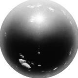 ШИШКОВСКИЙ