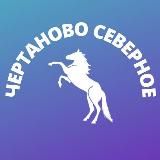 Чертаново • TGMsk