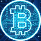 WASP KILLER:Crypto💰