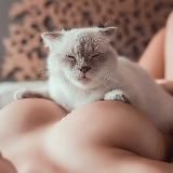 貓七教你新手🔞防網絡援交詐騙頻道