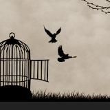 Freies Sondershausen (Sondershausen geht spazieren)