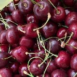 🚨В школе ебаться не учили дура?