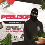 РЕВИЗОР