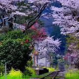 💕🌊⛵Лагуна для души🌱🏝💕