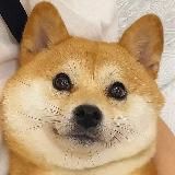 二狗福利站🔞维拉TK优尚黑girl日月