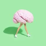 На цыпочках к кукушке