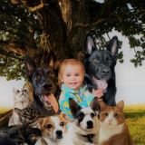 Ковчег | под дубом