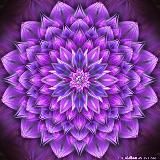 🔆 Чтение Хроник Акаши