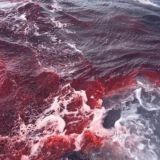 Вытягивай себя из ада