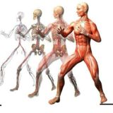 ❗ЛФК ФИТНЕС ДИЕТОЛОГИЯ РЕАБИЛИТАЦИЯ МАНУАЛЬНАЯ ТЕРАПИЯ БИОХИМИЯ