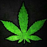 Отзывы ЧИПКА 😁👍