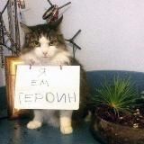 ТАЙНОЕ ЛОГОВО ЗЛОДЕЯ КАМНЯ‼️