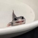 Клуб «китайская гора»