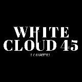 WHITECLOUD 45 VAPE Kurgan