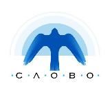 Центр «Слово» | Школа нового образования