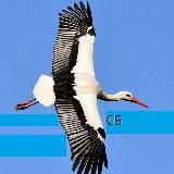 solidecs1 СВОБОДНЫЕ БЕЛОРУСЫ