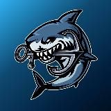 Акула 🦈
