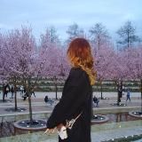 ksusha’s diary⋆˚ | нисеша