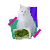 Доктор Олег и борборигмы