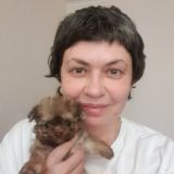 Любим Йорков Чат