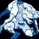 Вольная борьба