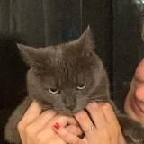 мюсли вслых; пока-йоке