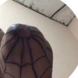 ЗАПОРТАЧЕНЫЕ