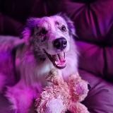 𝐓𝐡𝐞 𝐬𝐨𝐮𝐥 𝐨𝐟 𝐦𝐲 𝐬𝐨𝐮𝐥 °• 🫐